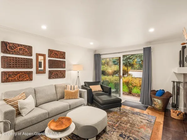 205 E Durant Ave APT 1B, Aspen, CO 81611