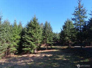 80 Wilson Ln, South Bend, WA 98586