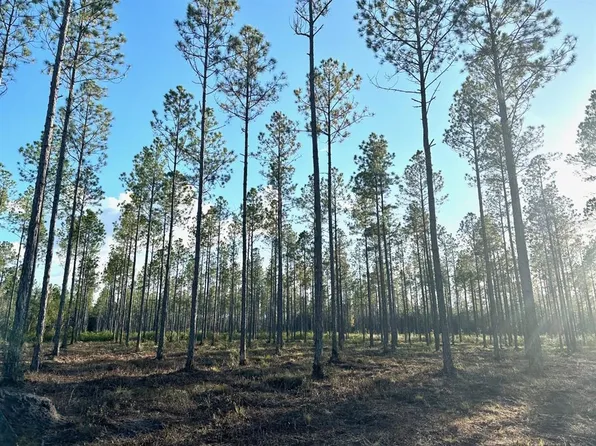 NW County Road 239, Lake Butler, FL 32054