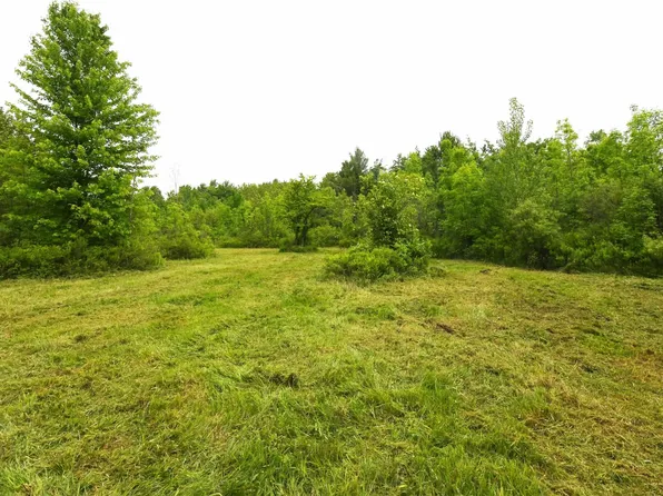 1 Alabaster Rd, Turner, MI 48765