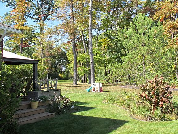 Backyard View into Park