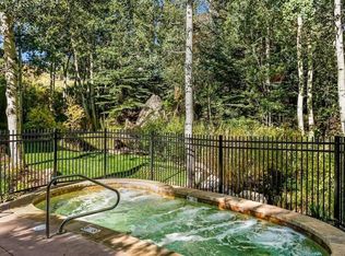 70 Gallun Ln #201, Snowmass Village, CO 81615