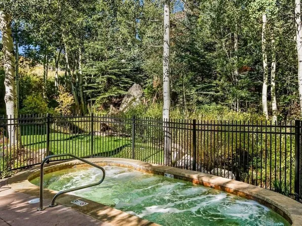 70 Gallun Ln #201, Snowmass Village, CO 81615