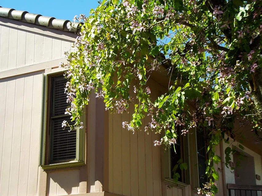 3 bed, 1170 sqft, $2,900 — Photo 2