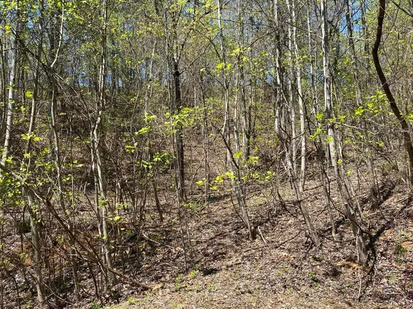 LOT 549 Garnet Trl, New Tazewell, TN 37825