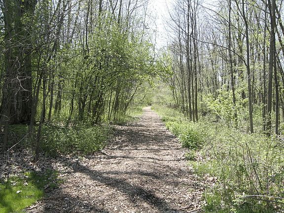 Walking Path & Stream
