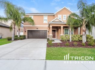 19239 Pepper Grass Dr, Tampa, FL 33647