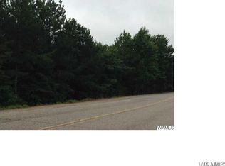 0 Will Walker Rd, Vance, AL 35490