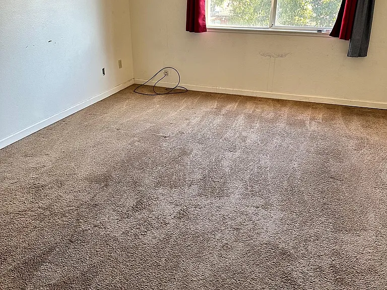 307 University Ave — Photo 8