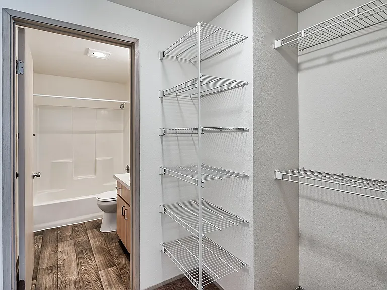 Traditional non renovated 2x2 Primary closet and bathroom.