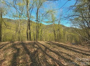 1200 Chestnut Flats Ln #138, Waynesville, NC 28786