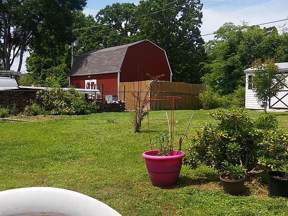 Back yard