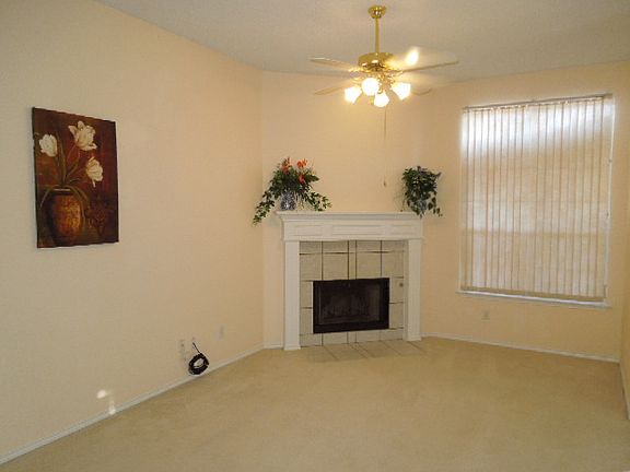 Gas Fire Place