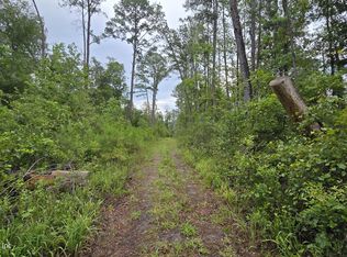 LOT 16 16TH Street NW, Jasper, FL 32052