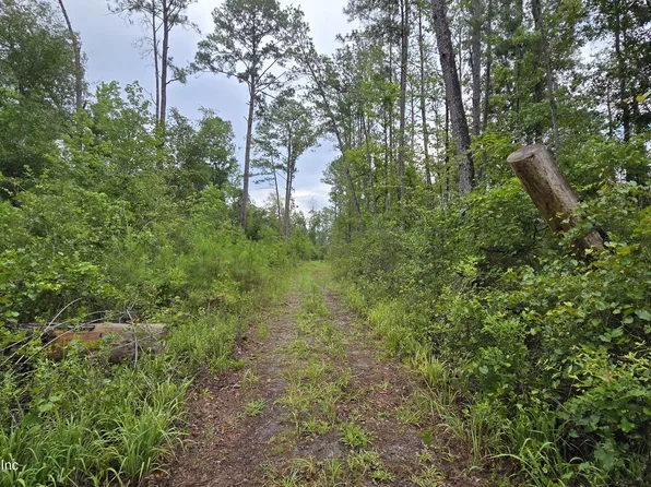 LOT 16 16TH Street NW, Jasper, FL 32052