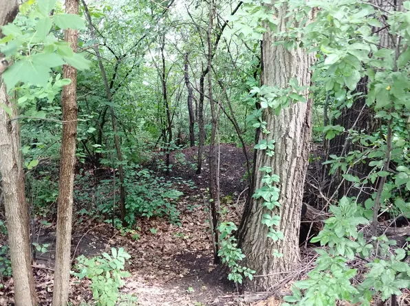 981 Vineyard Dr, Gurnee, IL 60031