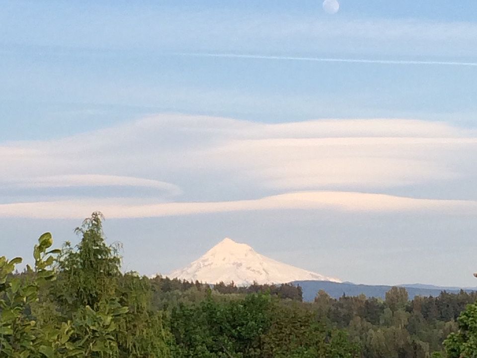 View from deck Mt Hood 