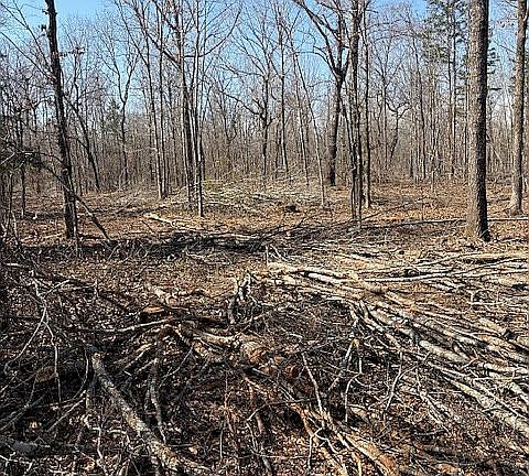 4th image of 4268 Cr