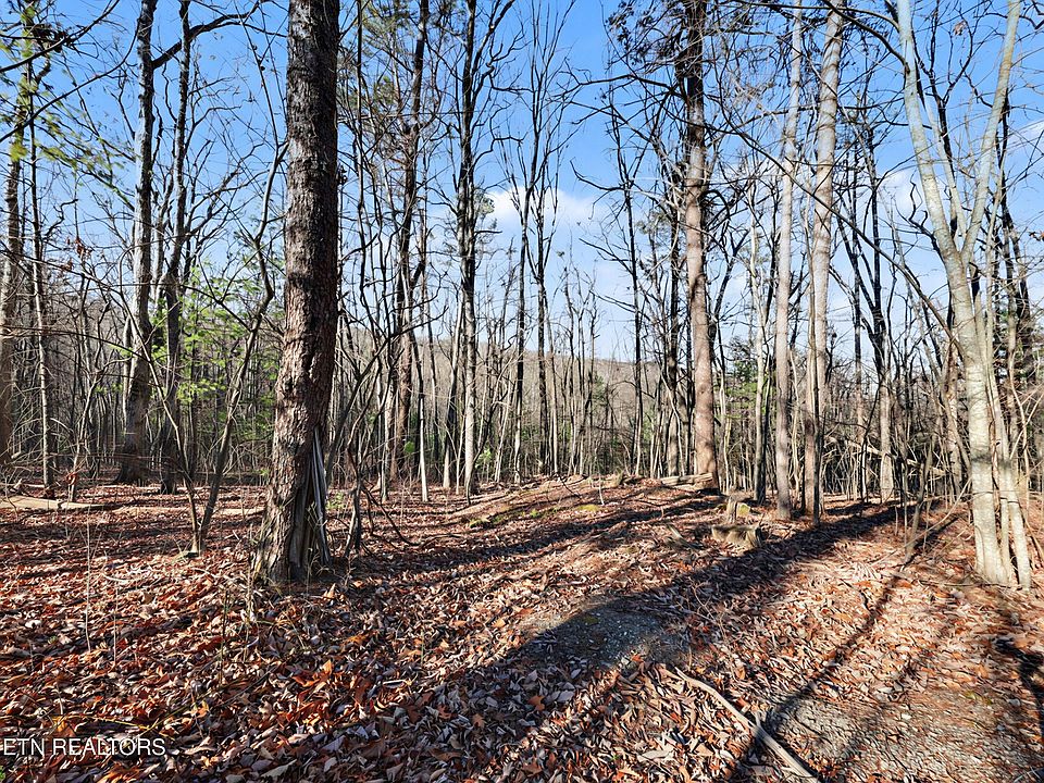 1st image of Avens Ln