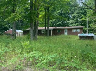 8841 N Vandermeulen Rd, Lake City, MI 49651