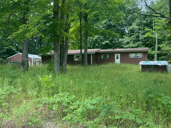 8841 N Vandermeulen Rd, Lake City, MI 49651