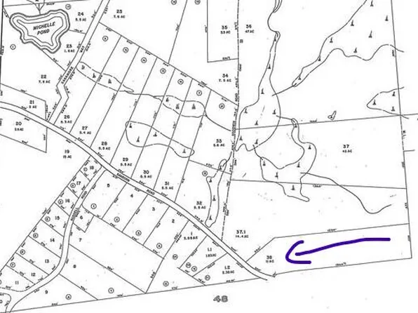 Lot #38 Sanborn Road, Newfield, ME 04095