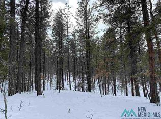 17 Alta Vis, Rociada, NM 87742