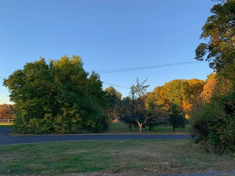 View from front door.