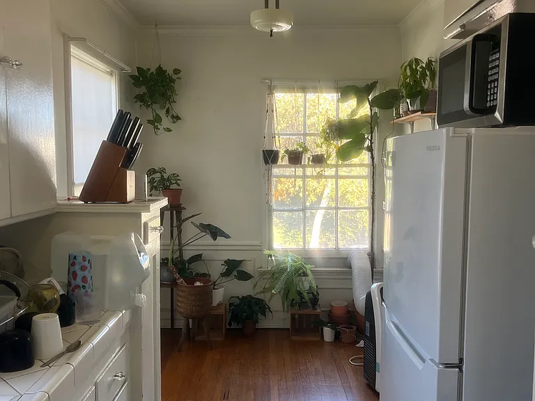 131 N Catalina St #133 — Photo 7