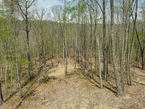 2nd image of 834 Green Dr