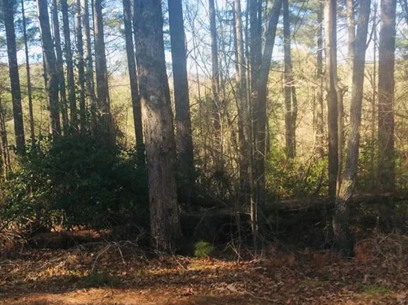 9306 Redbud Pass #92, Jasper, GA 30143