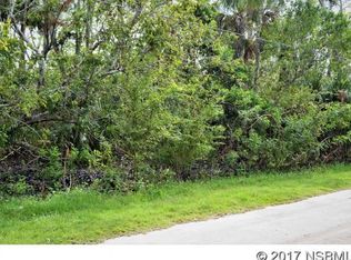 145 N Cory Dr, Edgewater, FL 32141