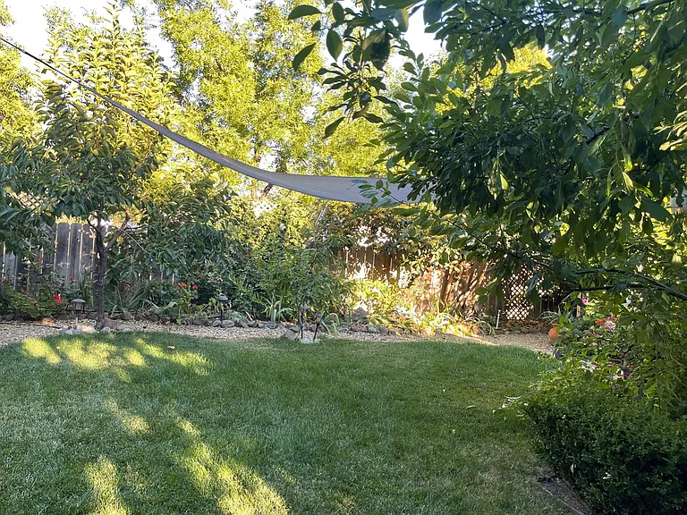 1181 Camino Tassajara — Photo 18