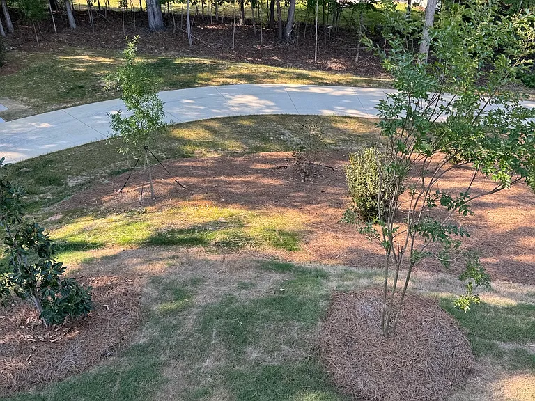 1203 Mary Jane Ave — Photo 19