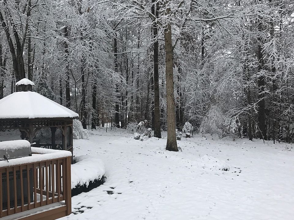 Snowy Backyard 12-17