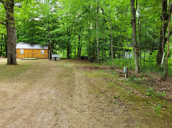12580 Bear Creek Ln, Bear Lake, MI 49614