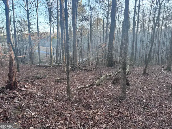 0 Red Branch Rd, Talking Rock, GA 30175