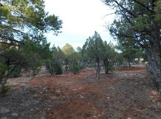 2795 Constellation Ln, Overgaard, AZ 85933