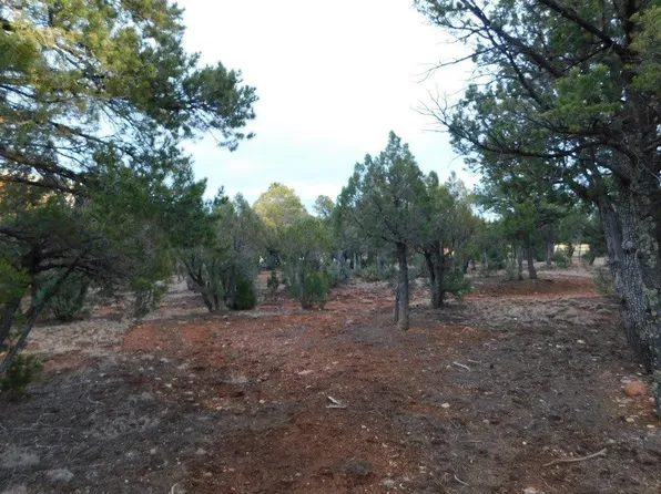 2795 Constellation Ln, Overgaard, AZ 85933