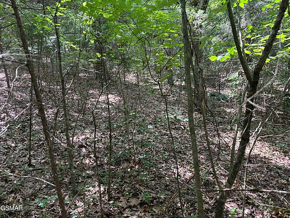 3rd image of LOT 11 Red Bud Dr