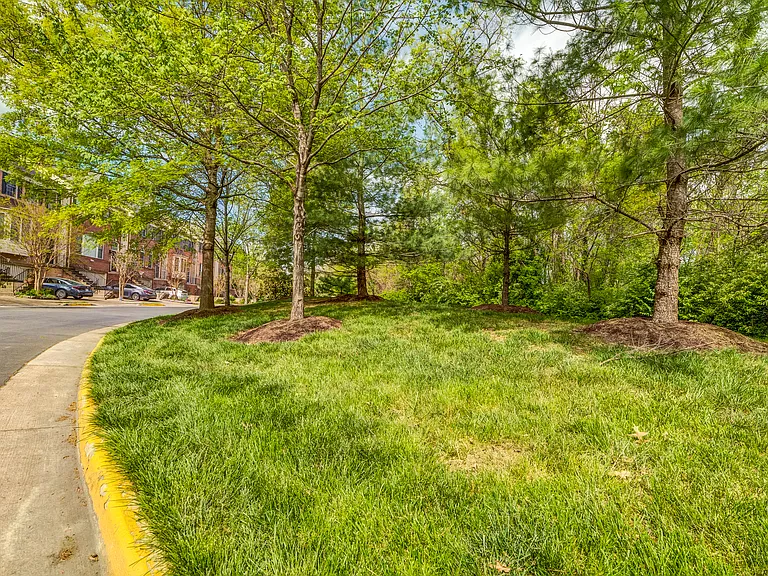 Community Common Area