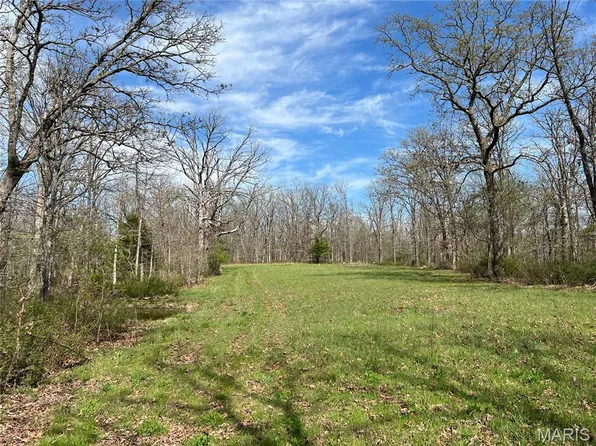 24755 Mayapple Ln, Lebanon, MO 65536