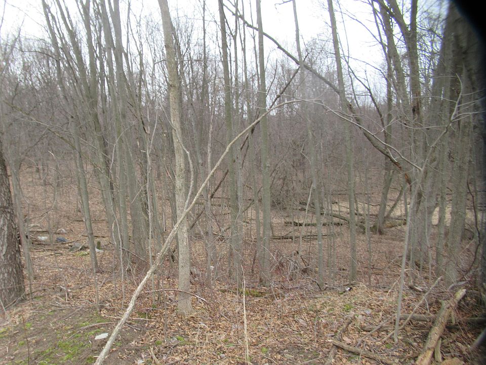 1st image of Williamsville St