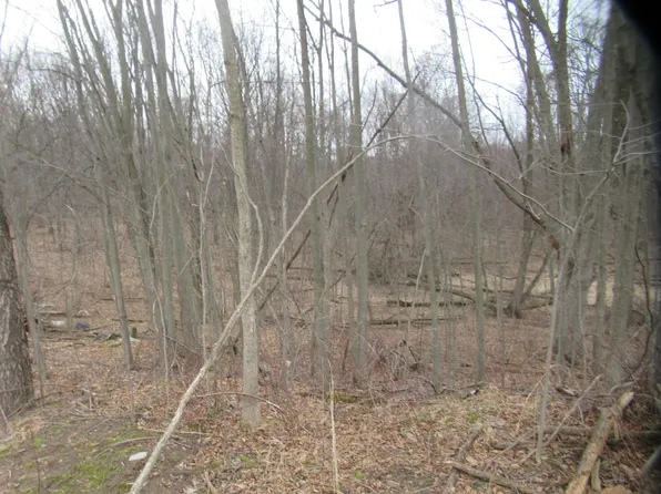 Williamsville St, Cassopolis, MI 49031