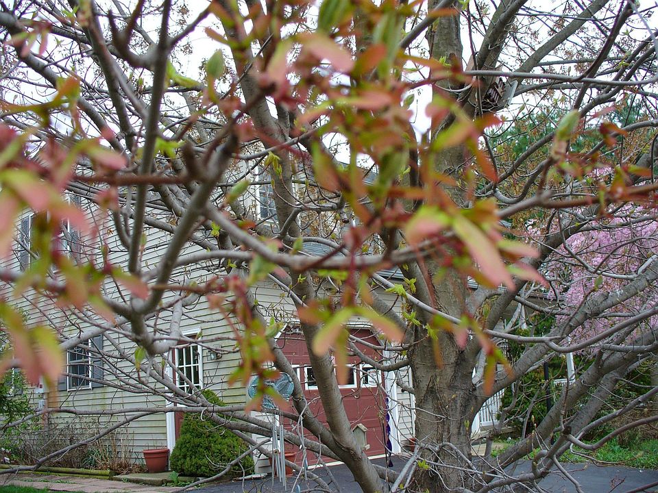 13 Manor Oaks Dr, Millersville, PA 17551 Zillow