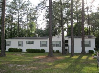 385 Bobby Sapp Rd, Collins, GA 30421