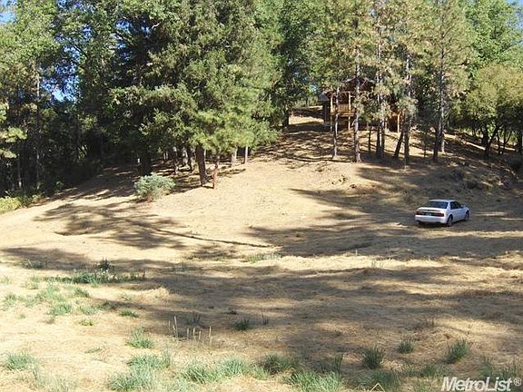 Meadow Below Cabin