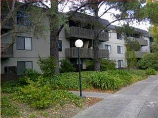 2nd image of 3336 Shelter Creek Ln