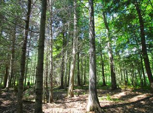 48 Limekiln Rd, Inlet, NY 13360