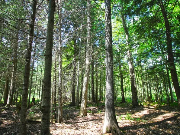 48 Limekiln Rd, Inlet, NY 13360